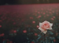 Full Cover Thumbnail