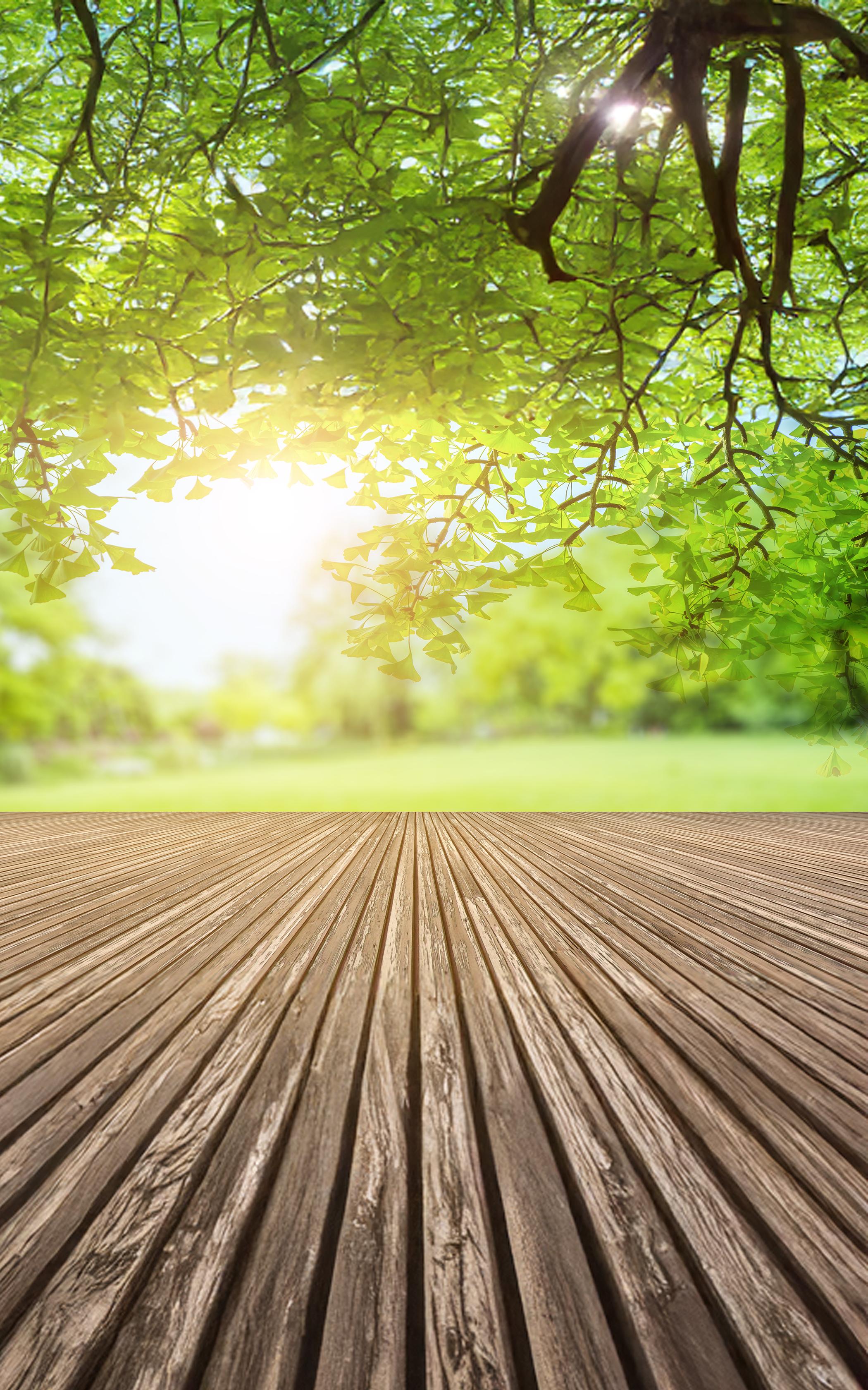 Sunlit Wooden Deck
