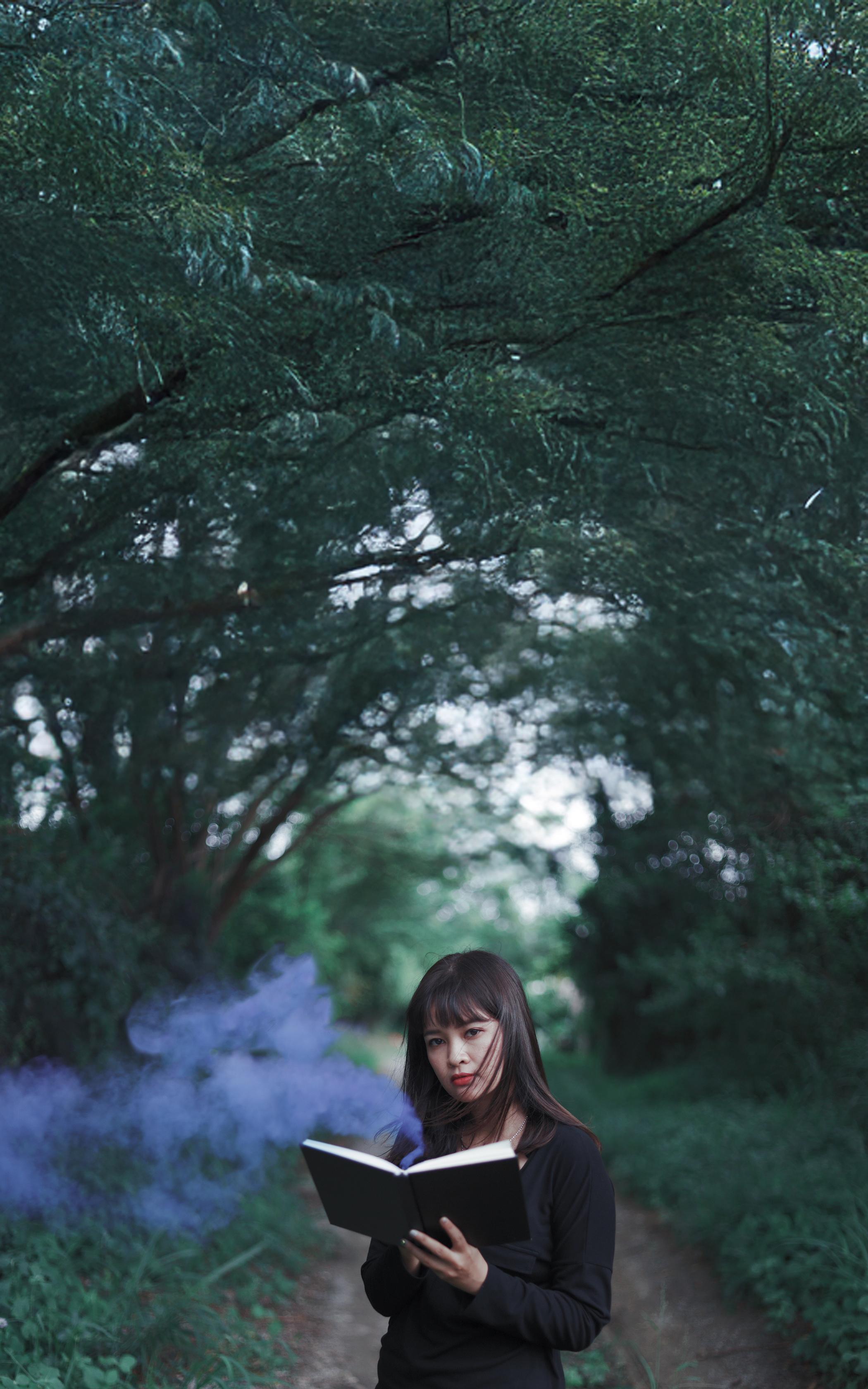 Enchanted Forest Spell