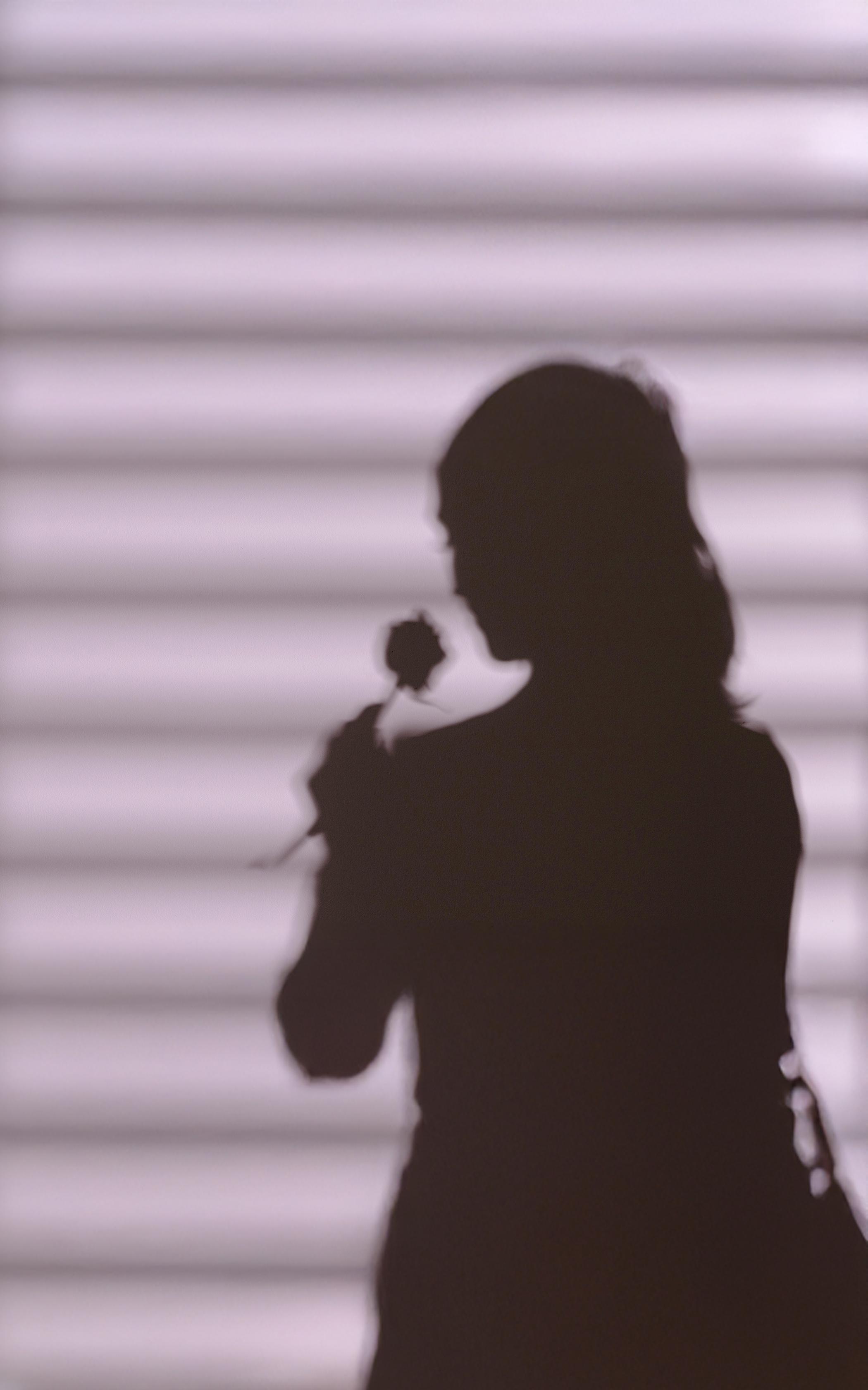 Shadowed Floral Reflection